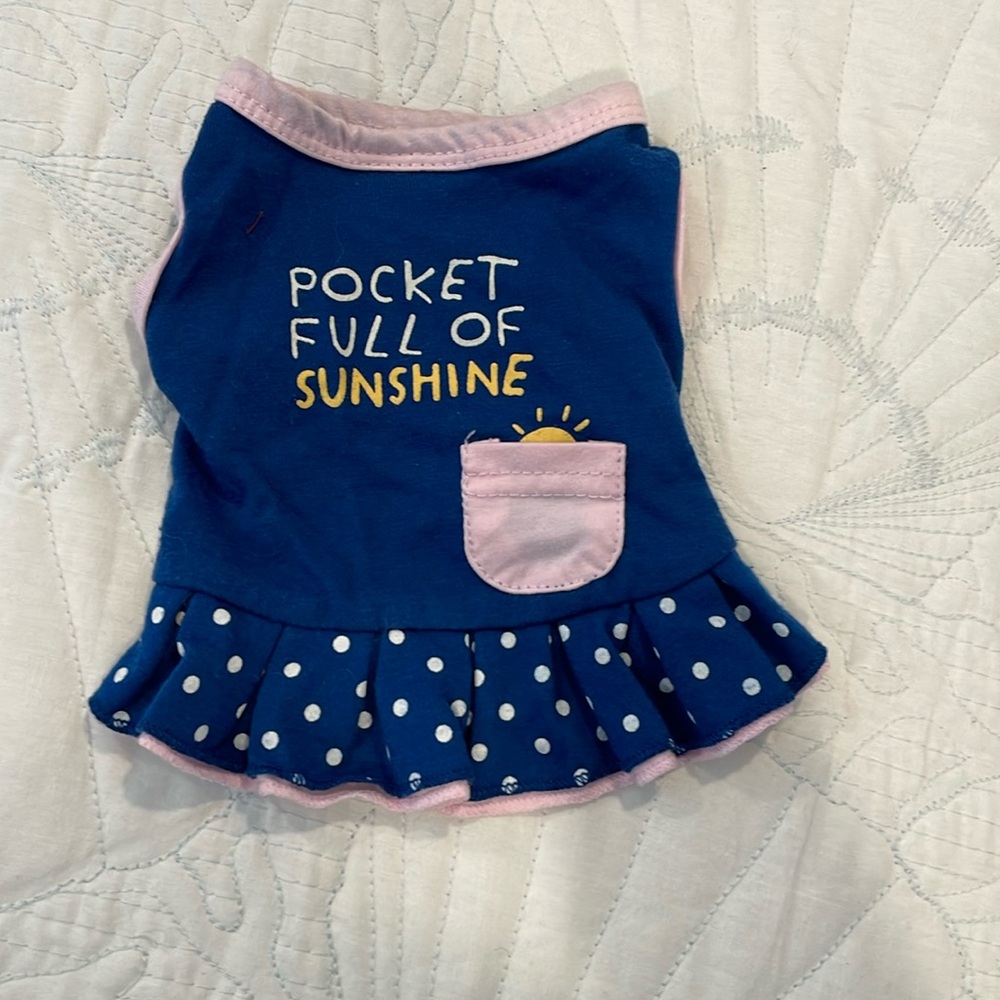 Pocket full of Sunshine dress for dog